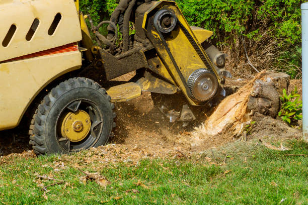 Mulching Services in Portland, OR